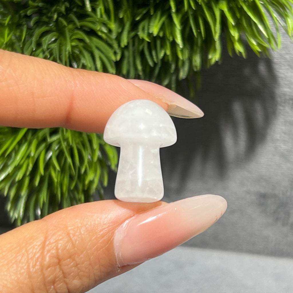 Mini Mushroom Confetti
