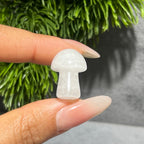 Mini Mushroom Confetti