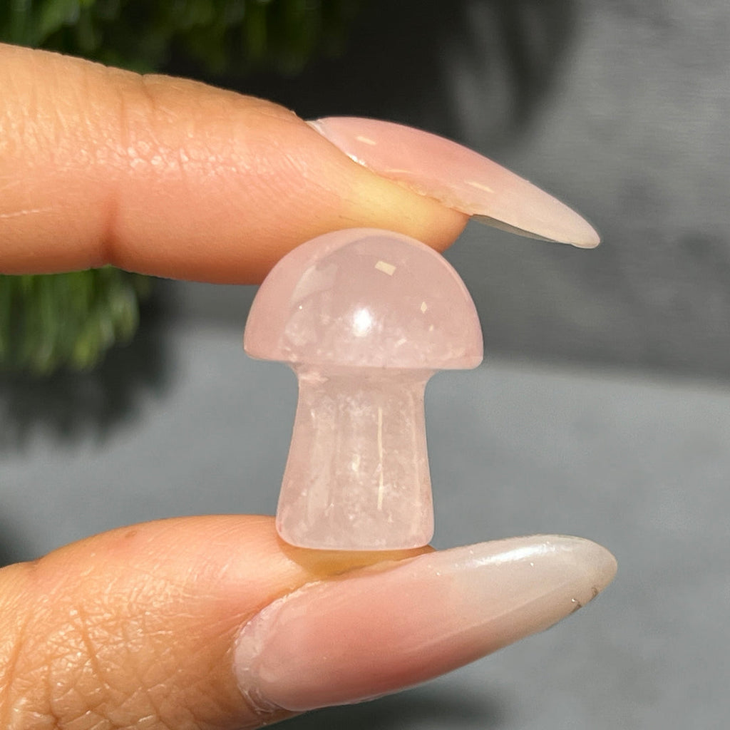 Mini Mushroom Confetti