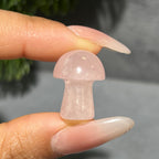 Mini Mushroom Confetti