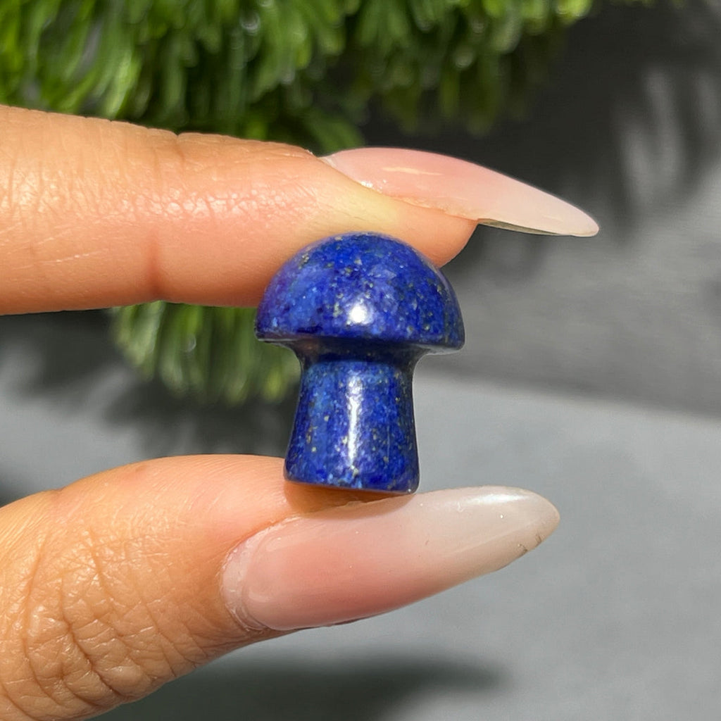Mini Mushroom Confetti
