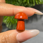Mini Mushroom Confetti