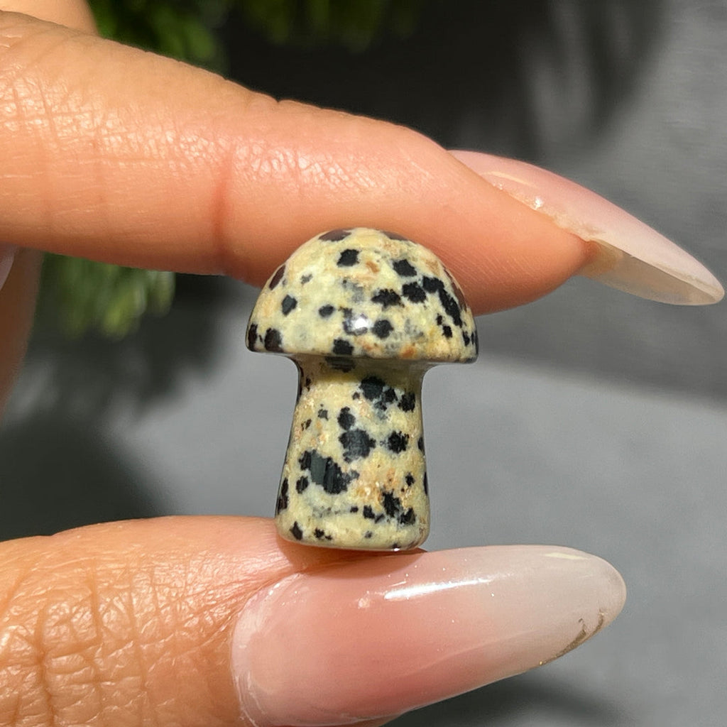 Mini Mushroom Confetti