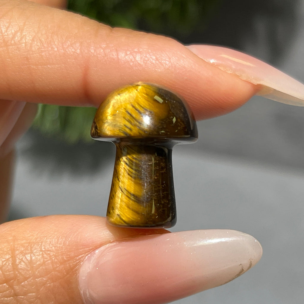 Mini Mushroom Confetti