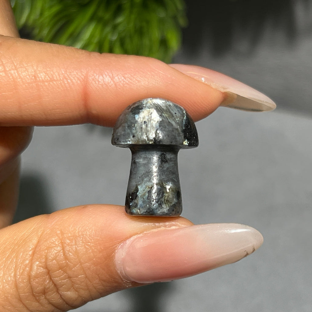 Mini Mushroom Confetti