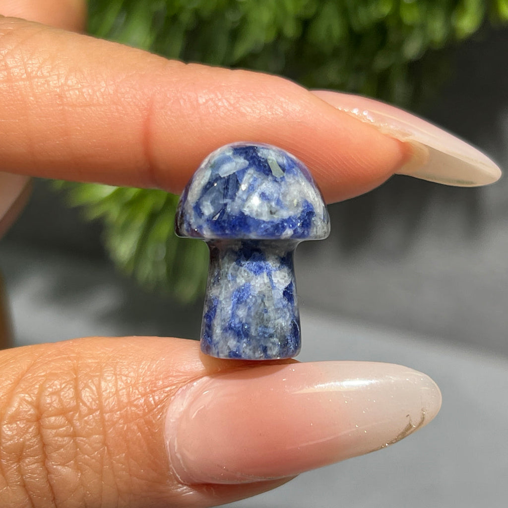 Mini Mushroom Confetti