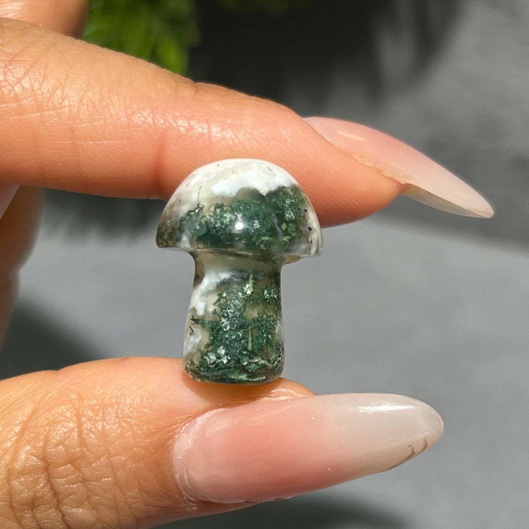 Mini Mushroom Confetti