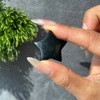 Crystal Mini Star