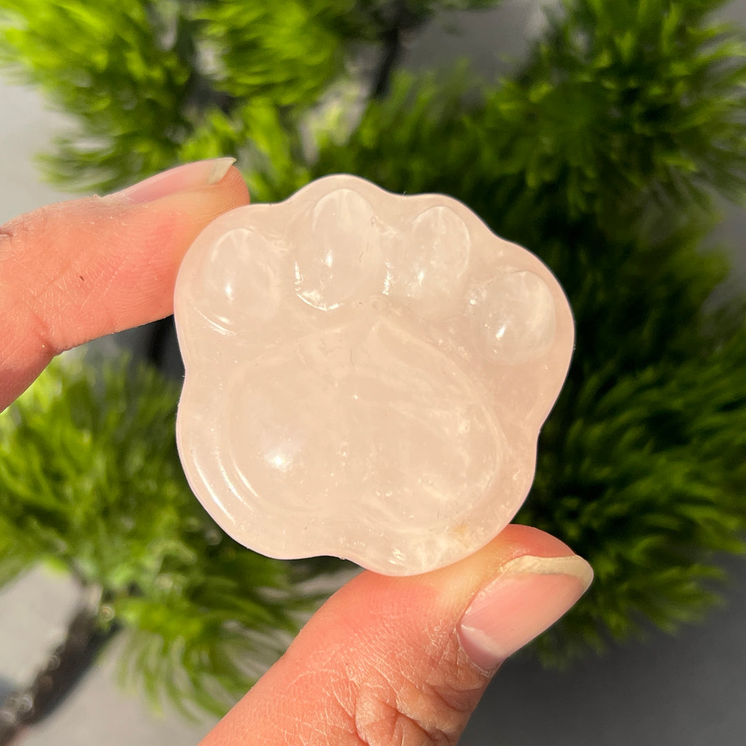 Crystal Cat Claw