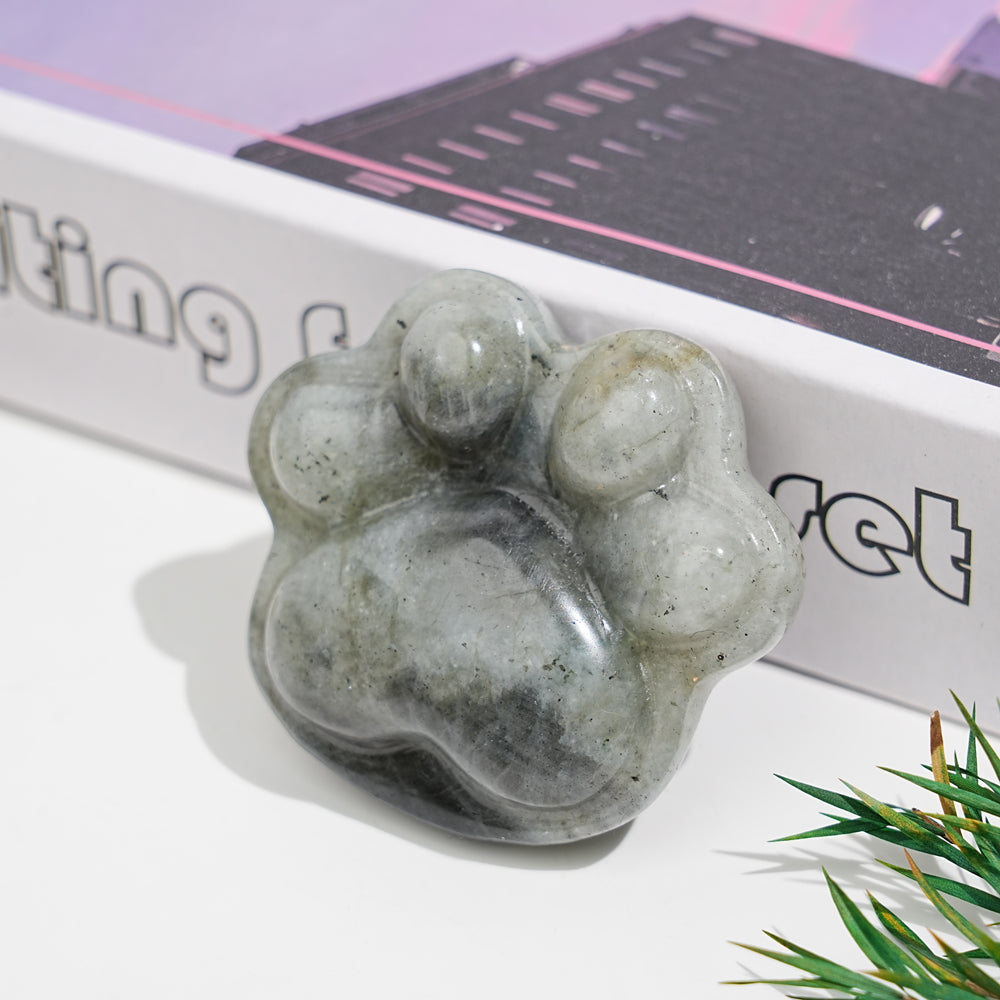 Crystal Cat Claw
