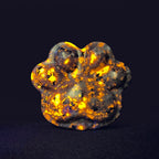 Crystal Cat Claw